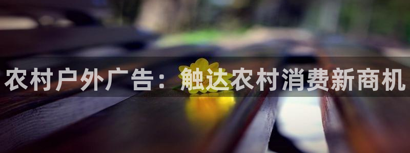 杏宇平台总代理