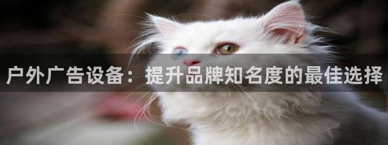 杏宇平台代理怎么样赚钱：户外广告设备：提升品牌知名度的最佳选择