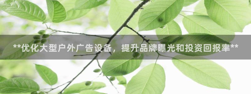 杏宇平台招商