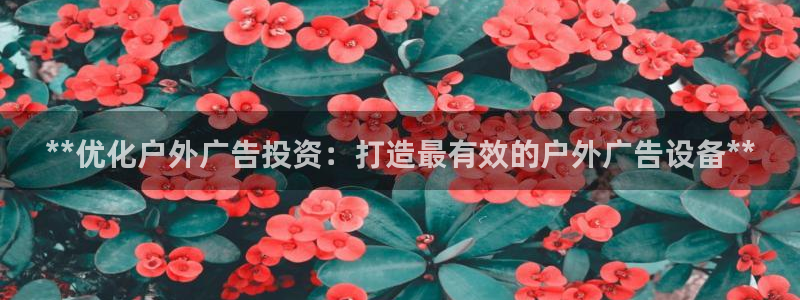 杏宇平台代理怎么样