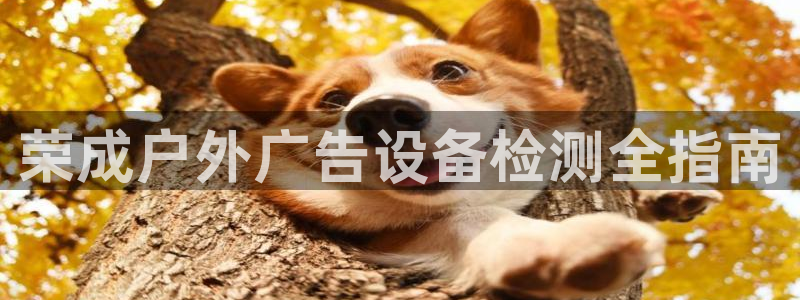 杏宇平台怎么样赚钱