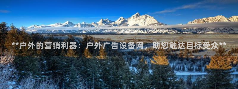 杏宇平台代理多少钱一个