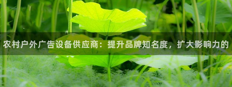 杏宇平台提现为什么这么久呢