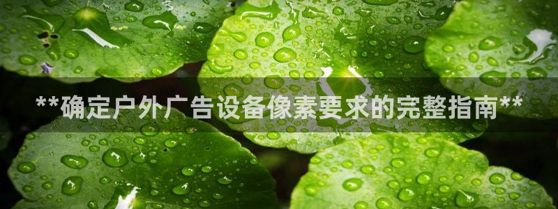 杏宇代理注册