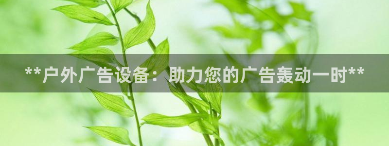 杏宇平台代理怎么样啊