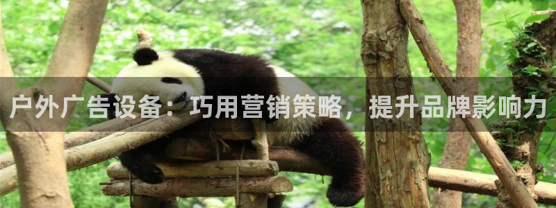 杏宇平台代理