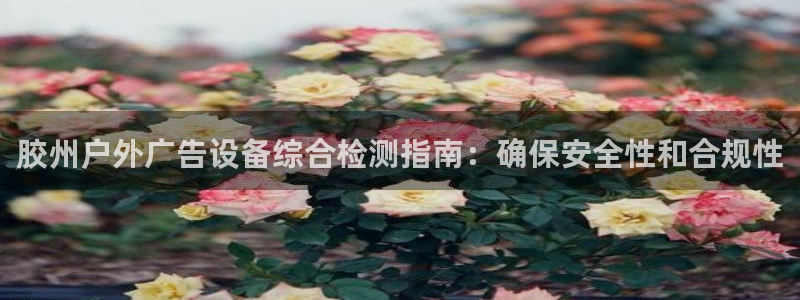 杏宇平台好吗