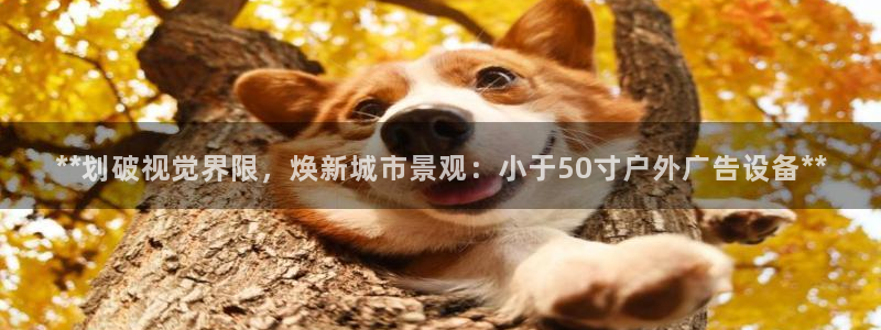杏宇平台招商怎么样
