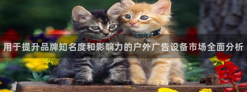 杏宇平台招商电话号码