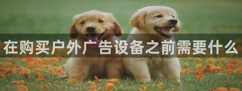 杏宇平台代理怎么样赚钱