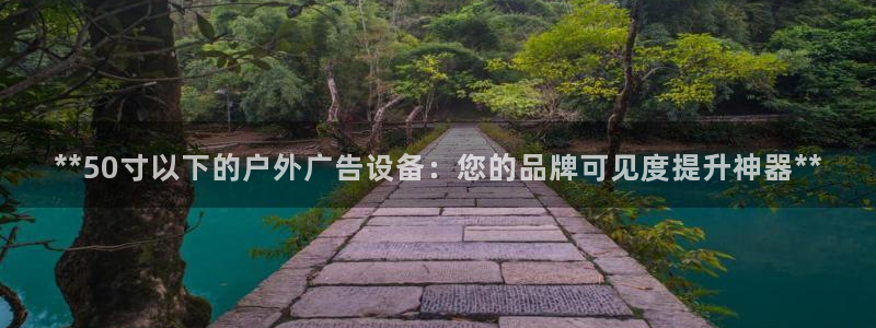 杏宇平台代理怎么样