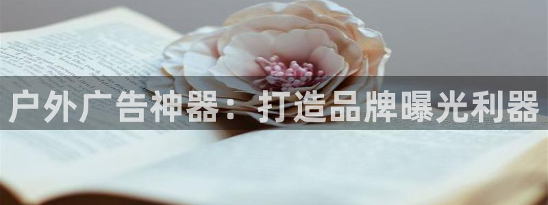 杏宇平台总代理是谁