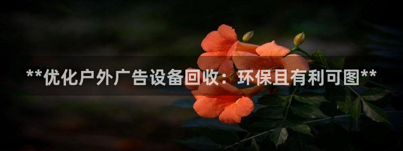 杏宇平台代理怎么赚钱快
