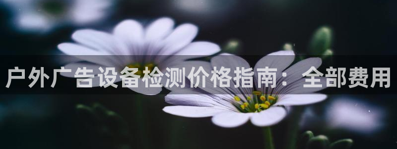杏宇平台注册地址