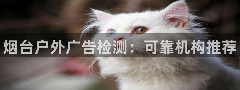 杏宇官方平台官网