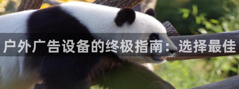 杏宇平台招商怎么样：户外广告设备的终极指南：选择最佳