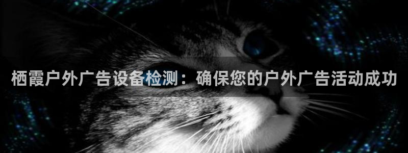 杏宇平台是什么