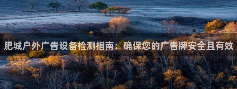 杏宇平台登录步骤：肥城户外广告设备检测指南：确保您的广告牌安全且有效