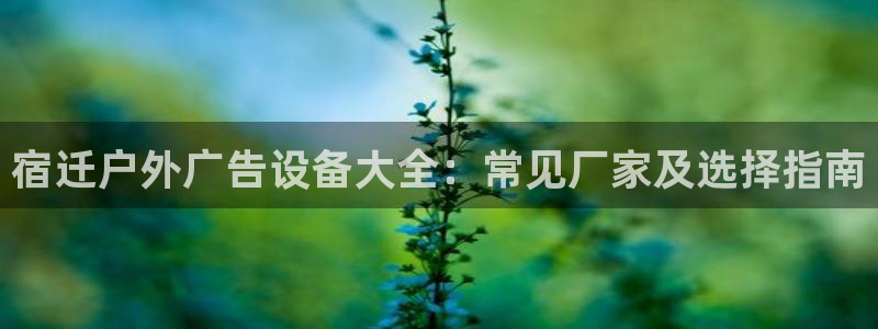 杏宇平台怎么样