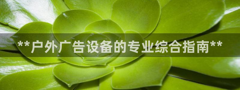 杏宇平台总代理电话：**户外广告设备的专业综合指南**