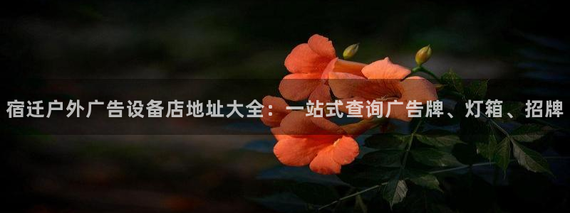 杏宇平台代理多少钱