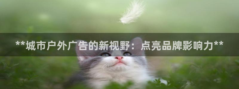 杏宇官方平台官网下载