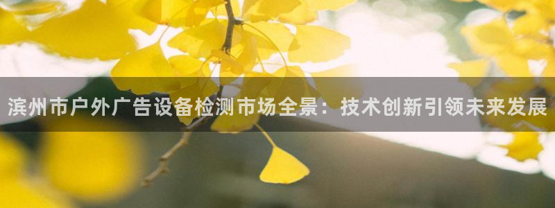 杏宇平台招商怎么样：滨州市户外广告设备检
