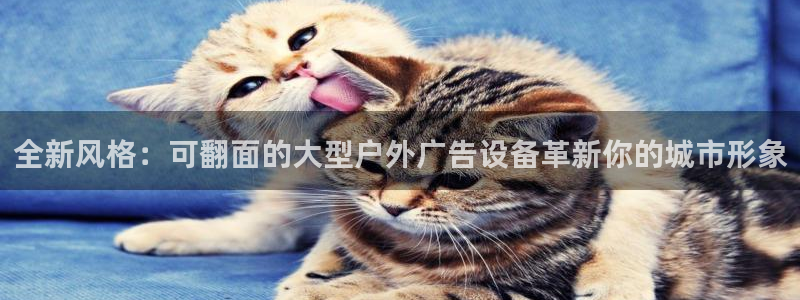 杏宇平台代理怎么赚钱快：全新风格：可翻面