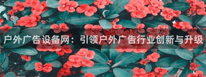 杏宇代理注册：户外广告设备网：引领户外广