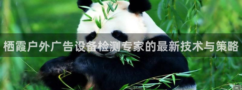 杏宇平台代理多少钱一个月：栖霞户外广告设备检测专家的最新技术与策略