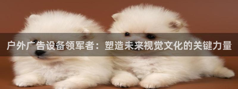 杏宇平台主管：户外广告设备领军者：塑造未