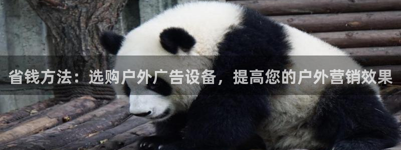 杏宇平台代理多少钱：省钱方法：选购户外广