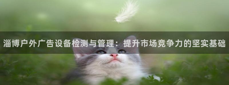 杏宇平台注册登录：淄博户外广告设备检测与