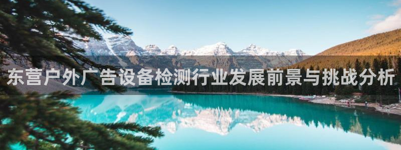 杏宇官方平台官网：东营户外广告设备检测行