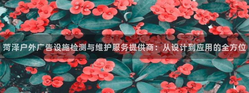 杏宇平台怎么样赚钱：菏泽户外广告设施检测与维护服务提供商：从设计到应用的全方位
