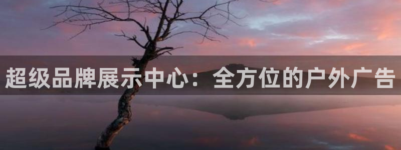 杏宇平台代理怎么赚钱的：超级品牌展示中心：全方位的户外广告