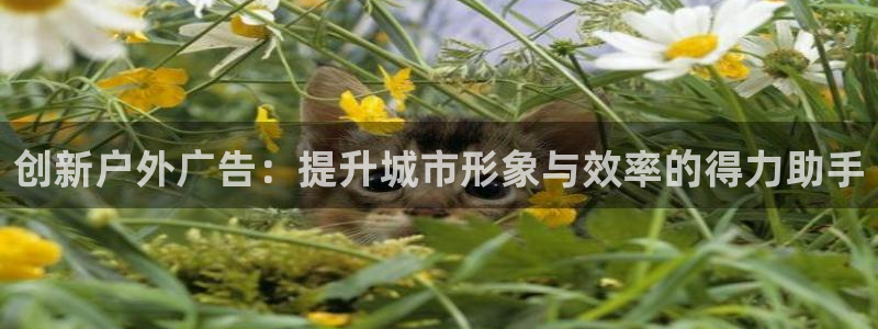 杏宇平台招商：创新户外广告：提升城市形象