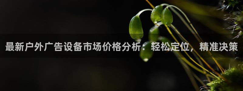 杏宇平台总代理是谁