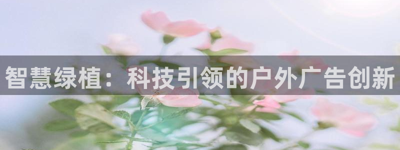 杏宇平台是什么