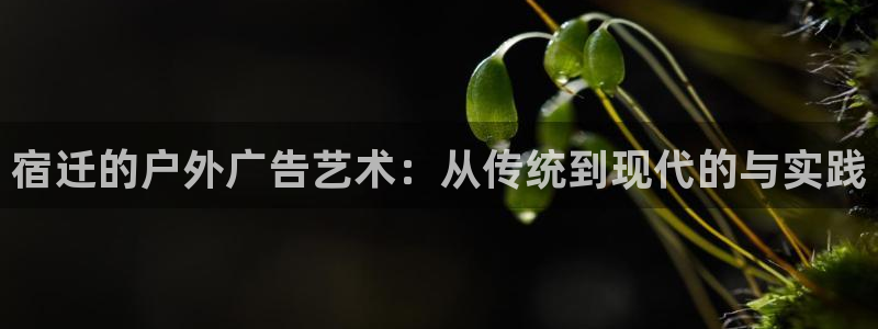 杏宇官方平台官网下载：宿迁的户外广告艺术