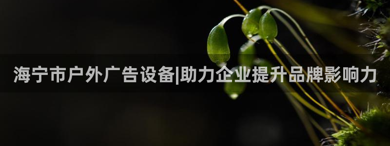 杏宇平台代理怎么样啊：海宁市户外广告设备