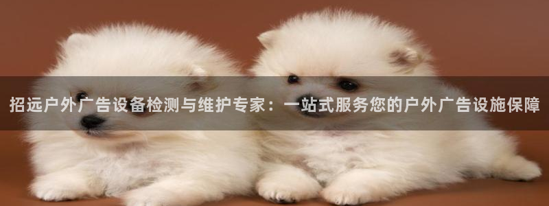 杏宇平台登录步骤图：招远户外广告设备检测与维护专家：一站式服务您的户外广告设施保障