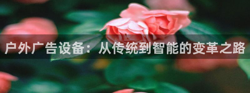 杏宇平台代理怎么样赚钱