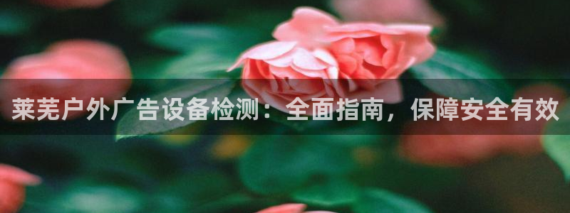 杏宇平台主管：莱芜户外广告设备检测：全面